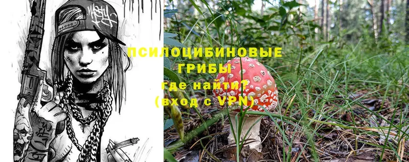 площадка формула  Грязи  Галлюциногенные грибы Psilocybe  купить наркотик 